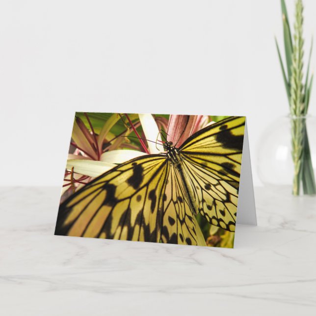 Butterfly Notecard (Front)