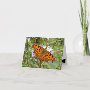 Butterfly Notecard - Comma