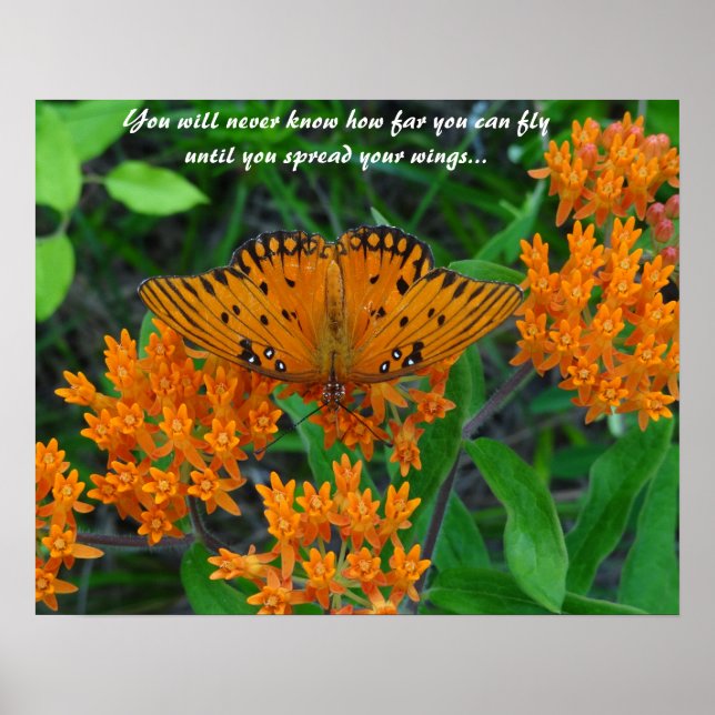 Butterfly of encouragement, hope and the future poster (Front)