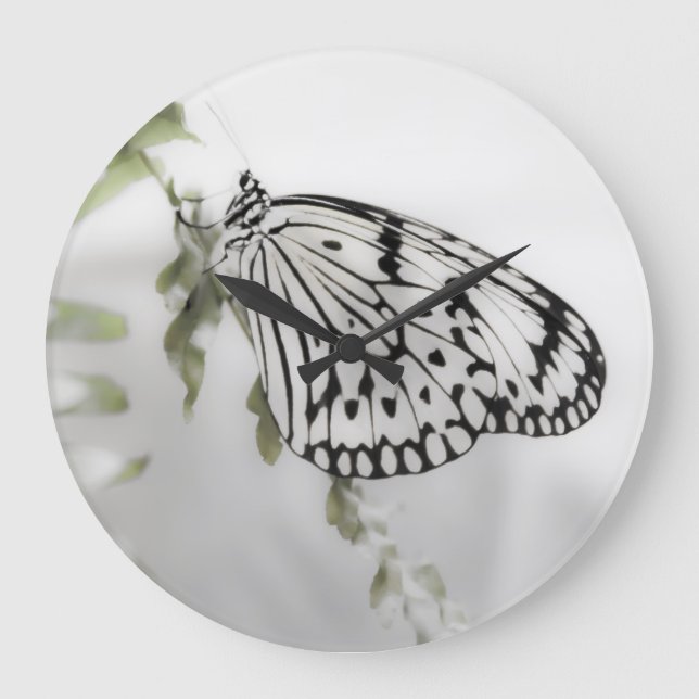 Butterfly on a Branch Large Clock (Front)