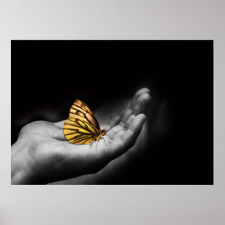 butterfly on a hand poster