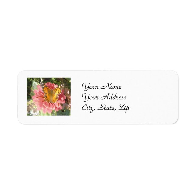 Butterfly on a Pink Zinnia (Front)