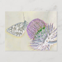 Butterfly on a red flower