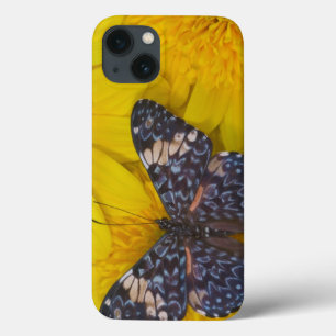 Butterfly on a Yellow Flower iPhone 13 Case