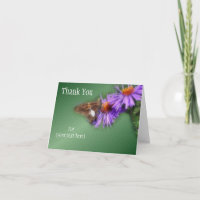 Butterfly On Aster Flower Nature Thank You