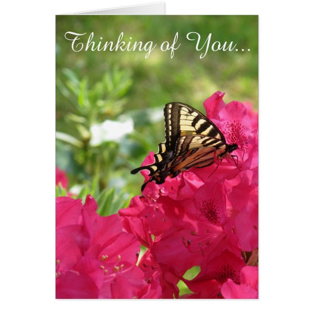Butterfly on Azalea  Thinking of You Card (Front)