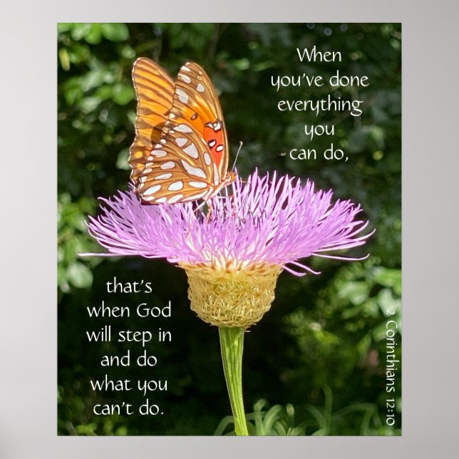 Butterfly on Basketflower, Scripture Verse Poster (Front)
