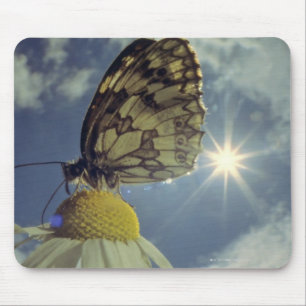 Butterfly on camomile flower with sun, mouse pad