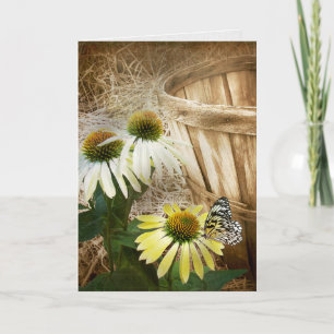 Butterfly On Cone Flower Card