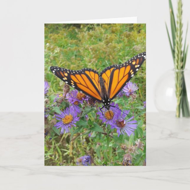 Butterfly on Cornflowers Blank Card (Front)