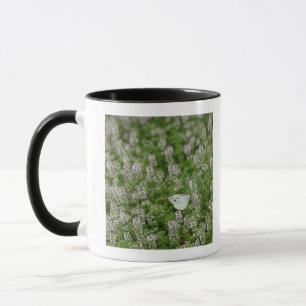 Butterfly on Creeping Thyme Mug