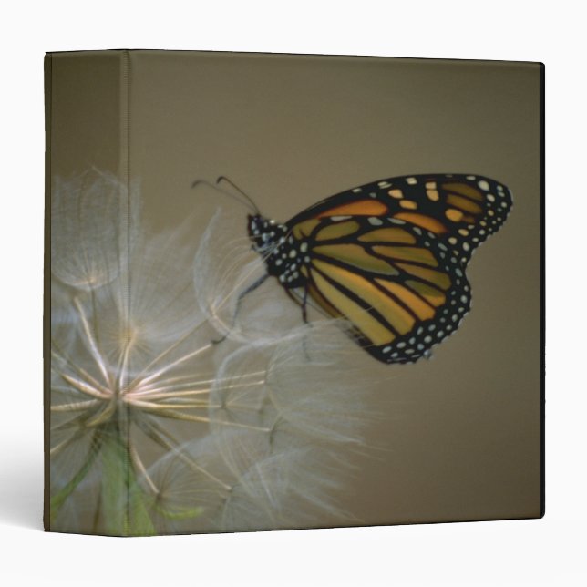 Butterfly on dandelion binder (Front/Spine)