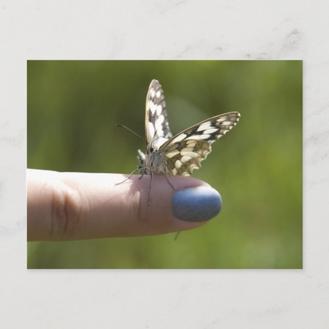 butterfly on finger postcard (Front)