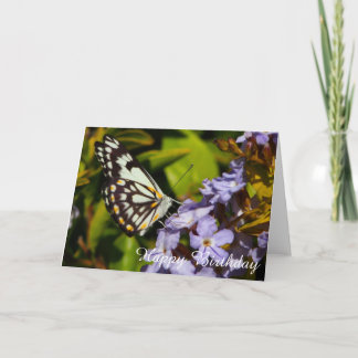 Butterfly on flower blank birthday card