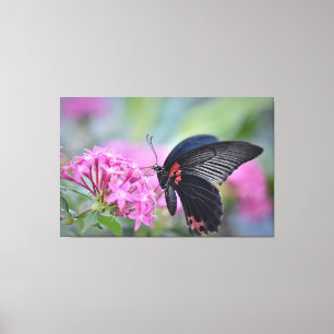 Butterfly on flower canvas print