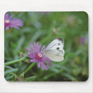 Butterfly on flower mouse pad