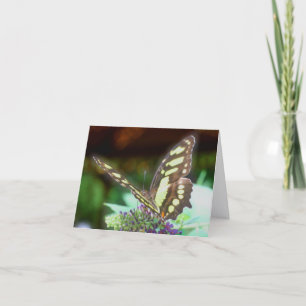 Butterfly On Flower Nature Photography  Note Card