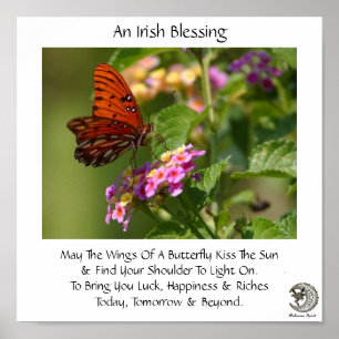 Butterfly On Flowers ~ Irish Blessing Poster