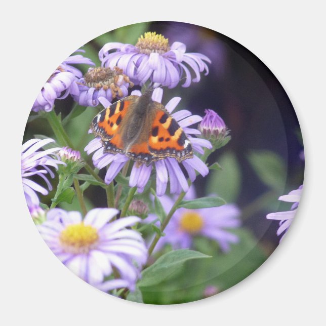 Butterfly On Flowers Magnet (Front)