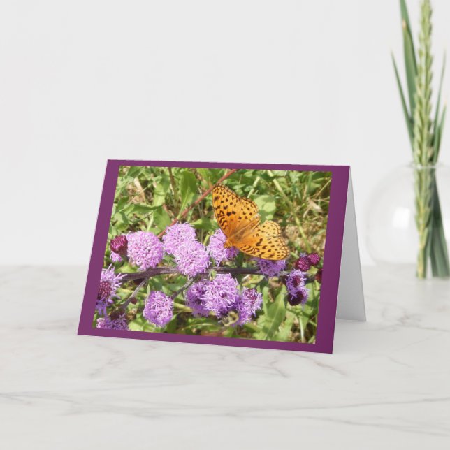 Butterfly on Gayfeater II Blank Notecard (Front)