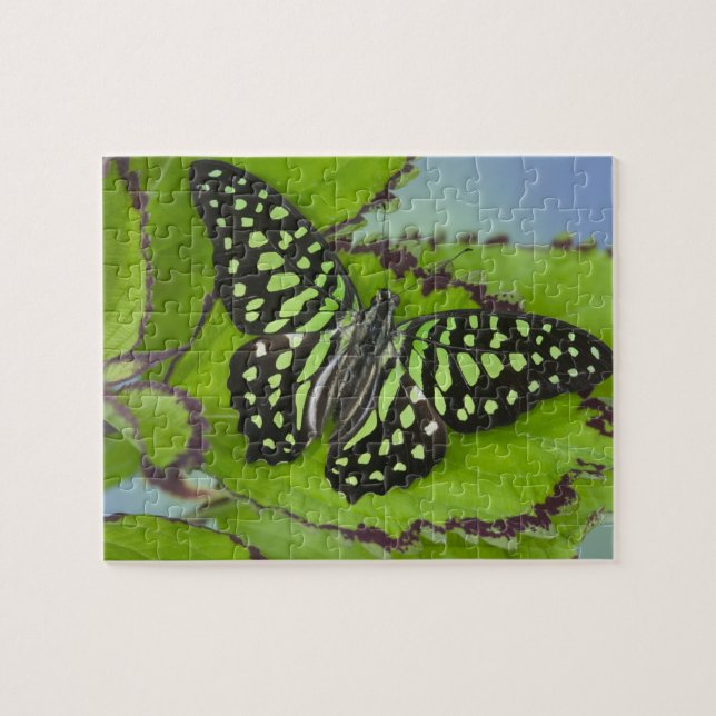 Butterfly on Green Jigsaw Puzzle (Horizontal)