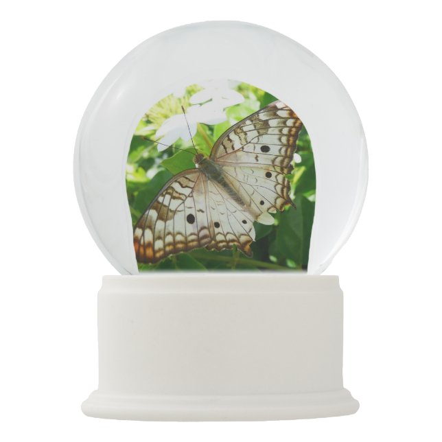 Butterfly on Jasmine Tropical Nature Photography Snow Globe (Front)