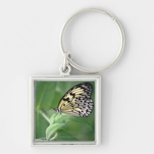 Butterfly on leaf keychain