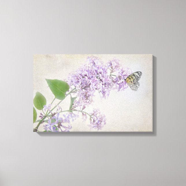 butterfly on lilac blossom canvas print (Front)