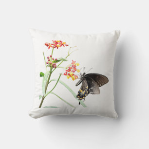 Butterfly on Milkweed Blooms, White Throw Pillow
