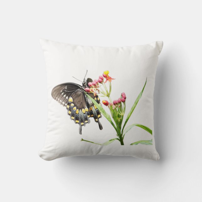Butterfly on Milkweed Blooms, White Throw Pillow (Front)