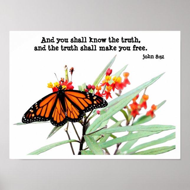Butterfly on Milkweed, with Verse (John 8:32)  Poster (Front)