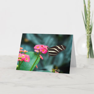 Butterfly on Pink Flower Photography Card
