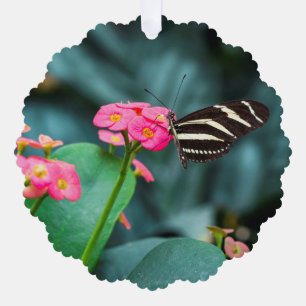 Butterfly on Pink Flower Photography Ornament Card