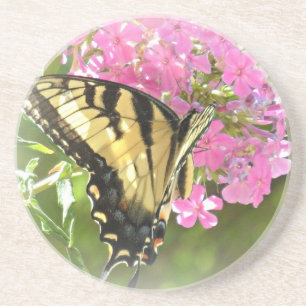 Butterfly on Pink Flowers Coaster