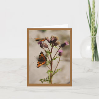Butterfly on Plant Note Card