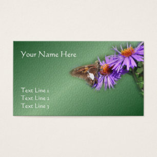 Butterfly On Purple Asters Nature