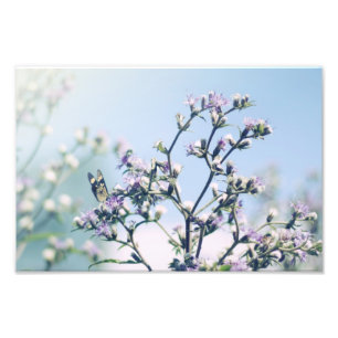 Butterfly on purple blossom branch photo print