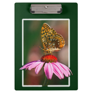Butterfly On Purple Coneflower Clipboard