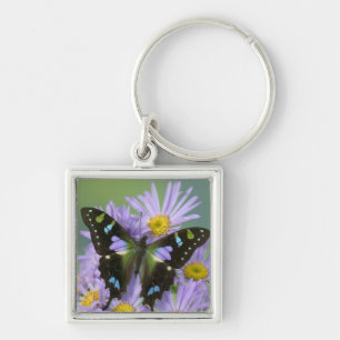 Butterfly on Purple Keychain