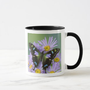 Butterfly on Purple Mug