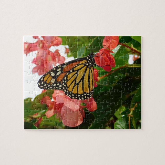 Butterfly on Red Flowers Jigsaw Puzzle (Horizontal)