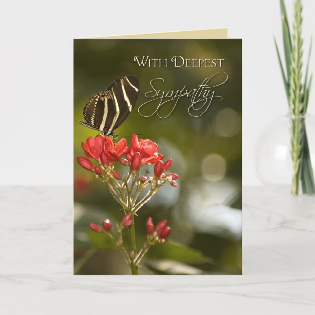 Butterfly on Royal Poinciana Sympathy Card (Front)
