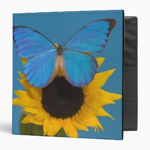 Butterfly on Sunflower Binder