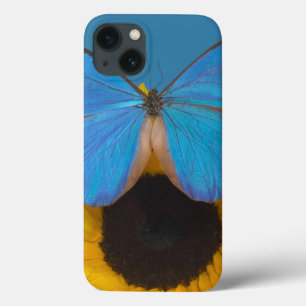 Butterfly on Sunflower iPhone 13 Case