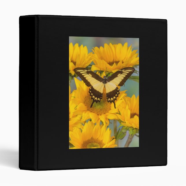 ***BUTTERFLY ON SUNFLOWER*** SPECIAL PHOTO ALBUMN BINDER (Front/Spine)