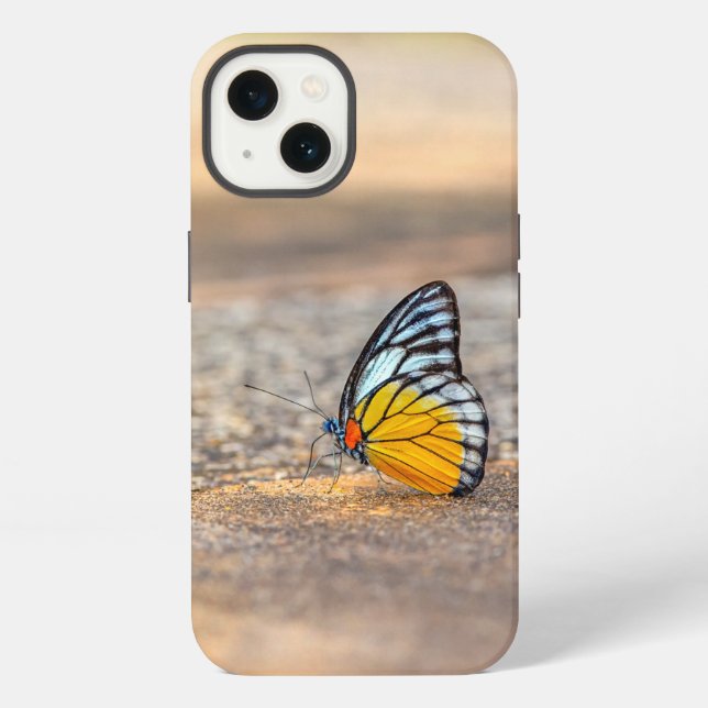 Butterfly on The Beach iPhone Case (Back)