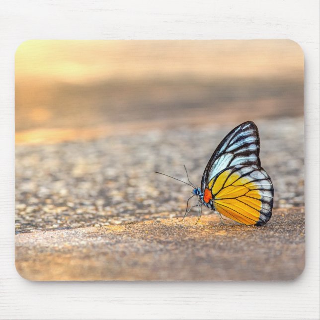 Butterfly on The Beach Mouse Pad (Front)