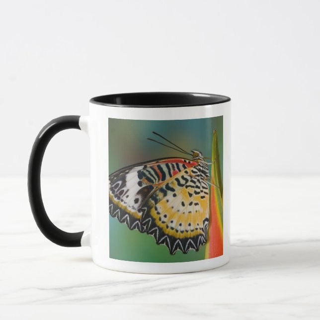 Butterfly on Tropical Flower Mug (Left)