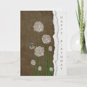 butterfly on white puff flower card