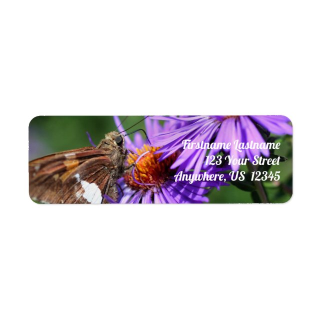 Butterfly On Wild Purple Aster Flower Address (Front)